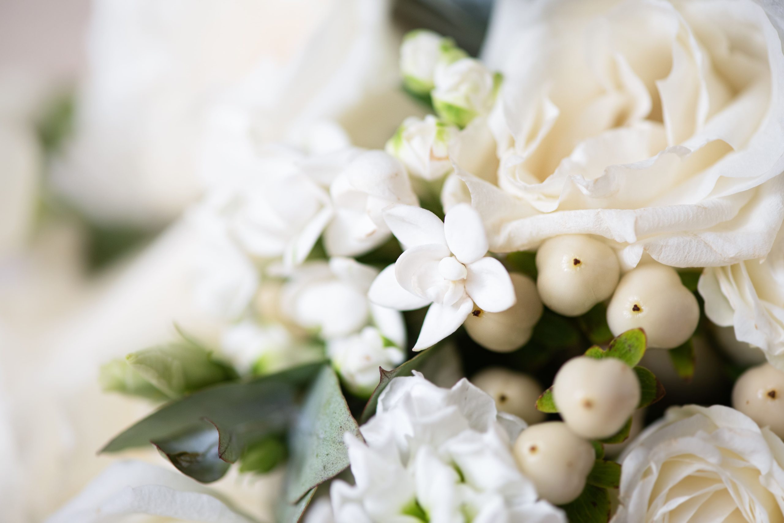 Floristería en Barcelona